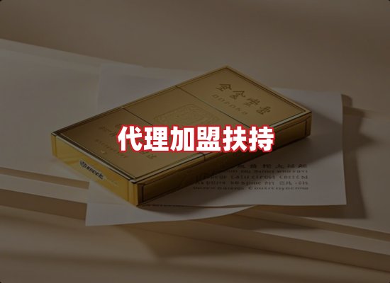 专业团队